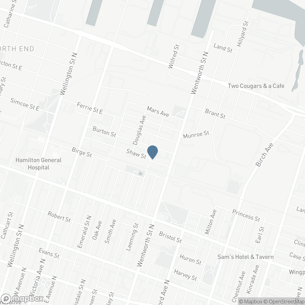 95 CHEEVER Street, Hamilton, Ontario L8L 5R8